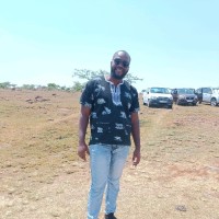Zimele Ngema