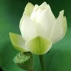 Thanh Hương