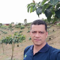 CARLOS ANDRES GONZALES