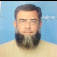 zulfiqar ali