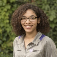Alexis Hickman