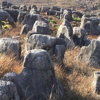李永兴