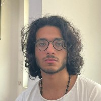 Muhammad Elsheshtawy