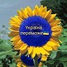 Алина К