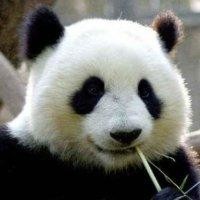 张宜志
