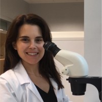 Elisa González Romero