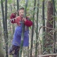 金玉良