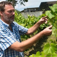 Wilco Venhuizen