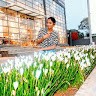 Nalini N