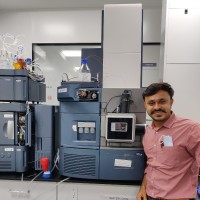 Meet Parekh