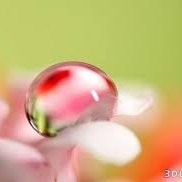 FATIMAZOHRAFATIMAZOH fati