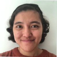 Surya Anni Samosir
