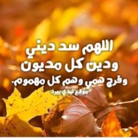 محمد شعبي