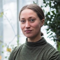 Tea Auramo (she/them)