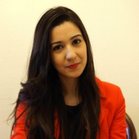 Maria Mercedes Campos Medina