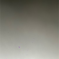 I E