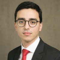 Gabriel Mendes Francisco De Araújo