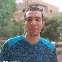 Mahmoud Aamer