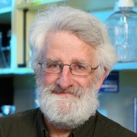 John Cullen