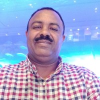 Ezzat Ahmed