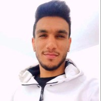 Mohamed Dhia Bousselmi