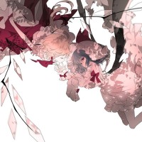 HC T