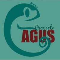 proyecto Agus