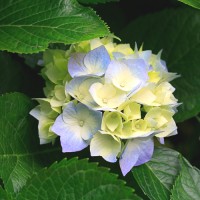 Nature Wise