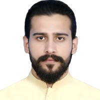 Mir Hamza Ali