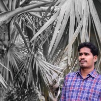 Amudala Praveen