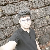 Souvik Pattojoshi