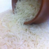Trisha International