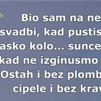 Vanja M