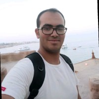 Hossam Saleh
