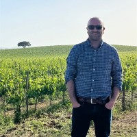 Nuno Martins de Sousa