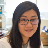 Ann Chiao