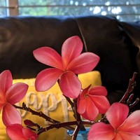 Cathy Earl Wormuth