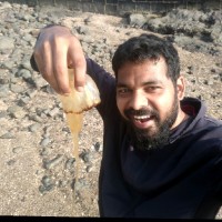 Amit Nandgaonkar