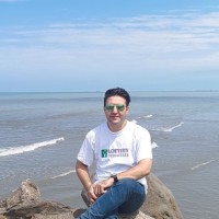 Arman L Mahmoodi