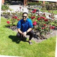 Shiraz Ali