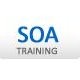 SchoolingIT.COM Online Training Division