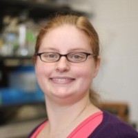 Ellen Perkowski