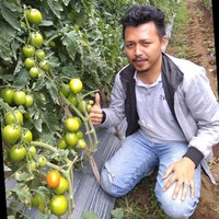 Isnanda Hasibuan