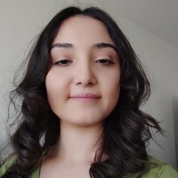 Merve AKPINAR