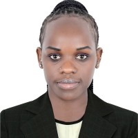 Achulu Teddy