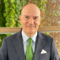 Guillermo Vallés Albar