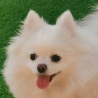 田宇馨