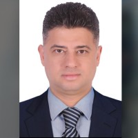 Mostafa Elwardany