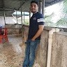Asfaan Gite