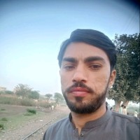 M Ali Rasheed